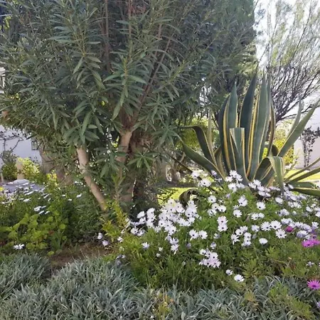 Sao Rafael Holidays Albufeira